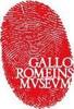 Gallo_Roman_Museum_logob1e2d8